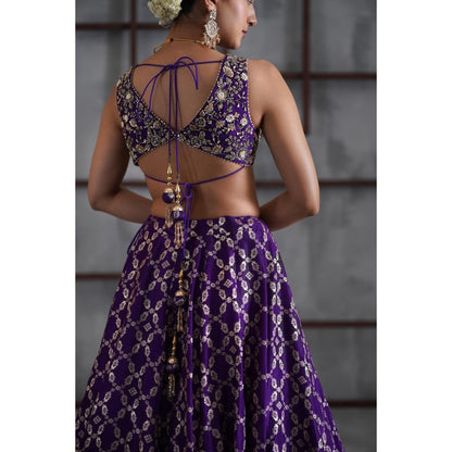 Deepika Chadha Purple Embroidered Blouse with Lehenga and Dupatta (Set of 3)