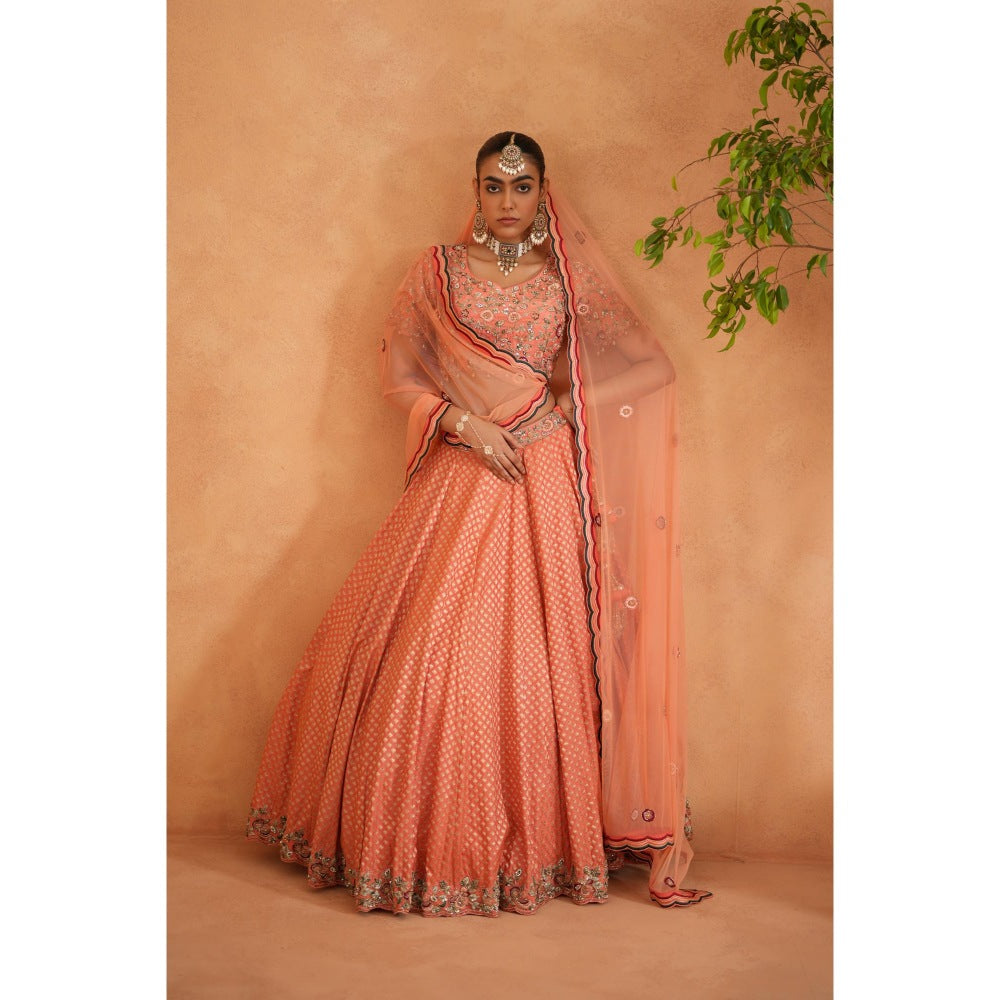 Deepika Chadha Coral Embroidery Blouse with Lehenga and Dupatta (Set of 3)