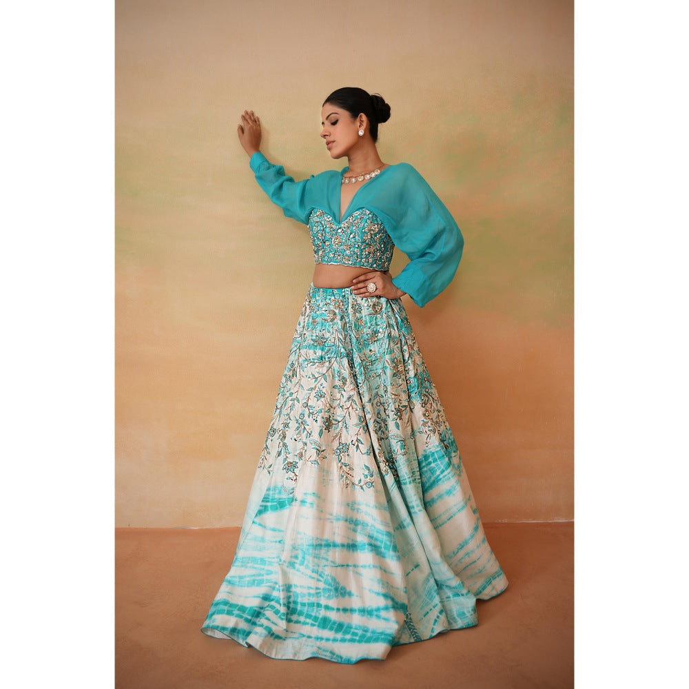 Deepika Chadha Sky Blue Embroidered Blouse with Lehenga and Dupatta (Set of 3)