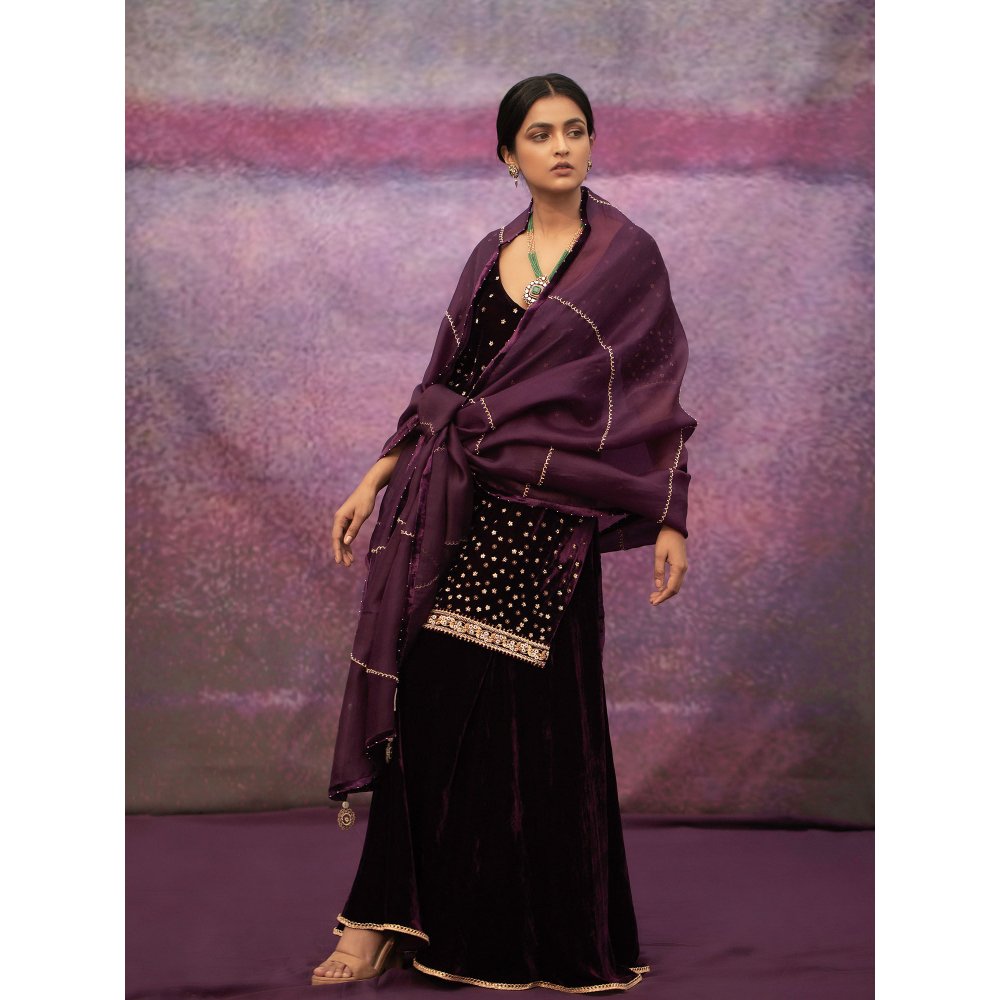 DEEPTHEE Burgundy Hand Embroidered Short Kurta with Sharara & Dupatta (Set of 3)