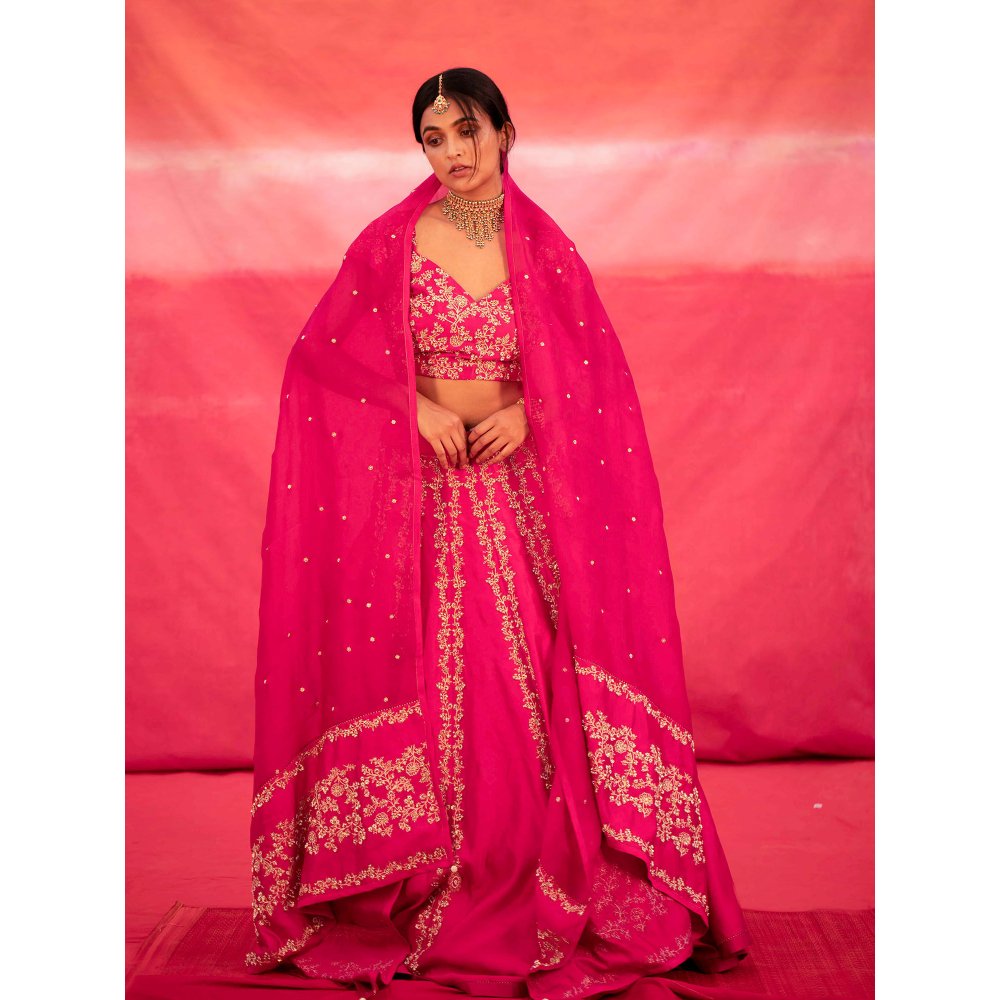 DEEPTHEE Pink Hand Embroidered Kalli Lehenga with Blouse & Dupatta (Set of 3)