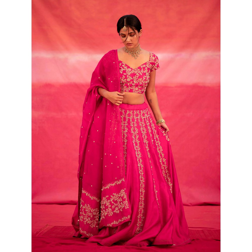 DEEPTHEE Pink Hand Embroidered Kalli Lehenga with Blouse & Dupatta (Set of 3)