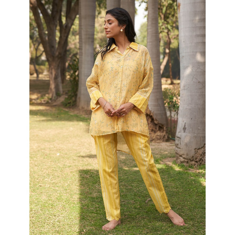 Dhaari by Deepika Handwoven Striped Cotton Silk Fabric Pants with Hand Paint