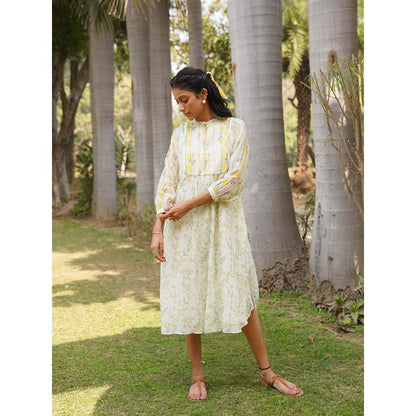 Dhaari by Deepika Handwoven Cotton Silk Hand Painted Dress