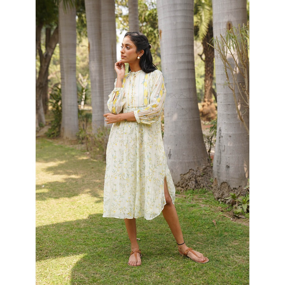 Dhaari by Deepika Handwoven Cotton Silk Hand Painted Dress