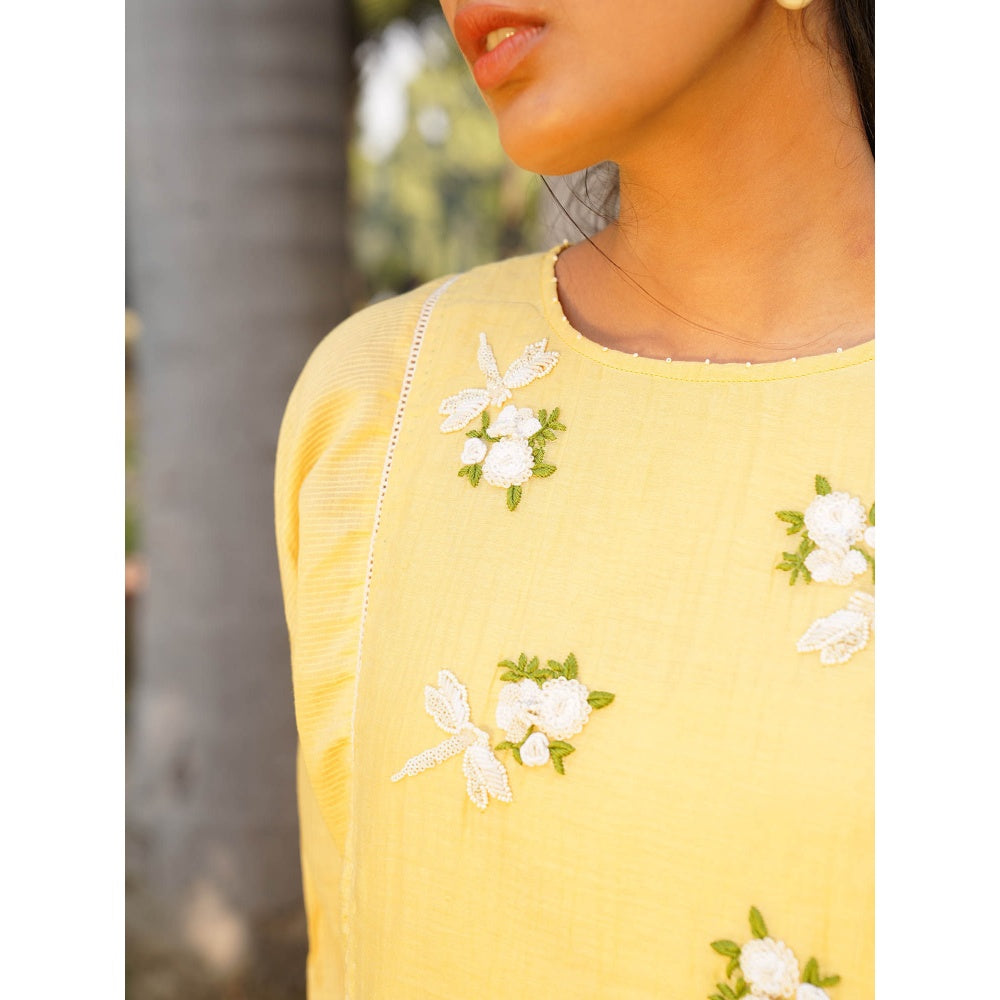 Dhaari by Deepika Handwoven Dress with Butterfly Embroidery with Hand Kantha & Pearl Details