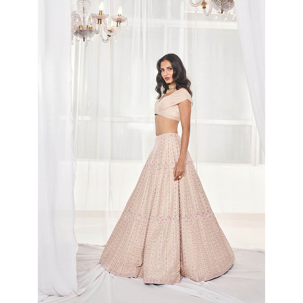DISHA MUCHHALA Dusty Beige Bridal Lehenga with Blouse and Dupatta (Set of 3)