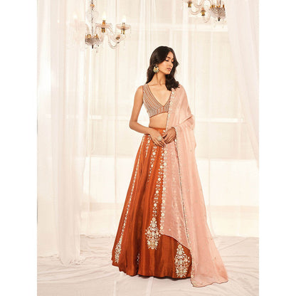 DISHA MUCHHALA Burnt Orange Lehenga with Blouse and Dupatta (Set of 3)