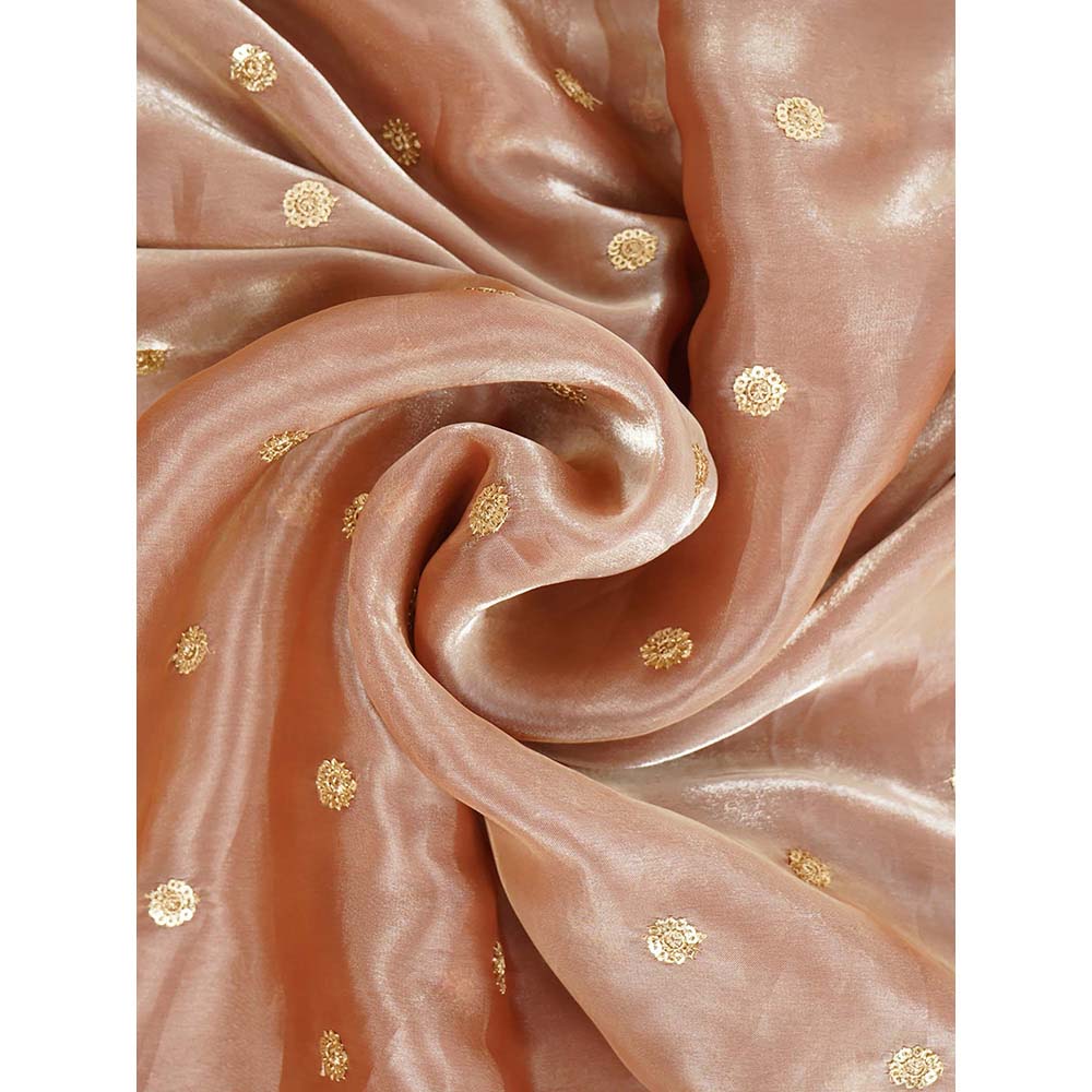 Dress & Dazzle Peach Gold Tissue Saree with Unstitched Blouse
