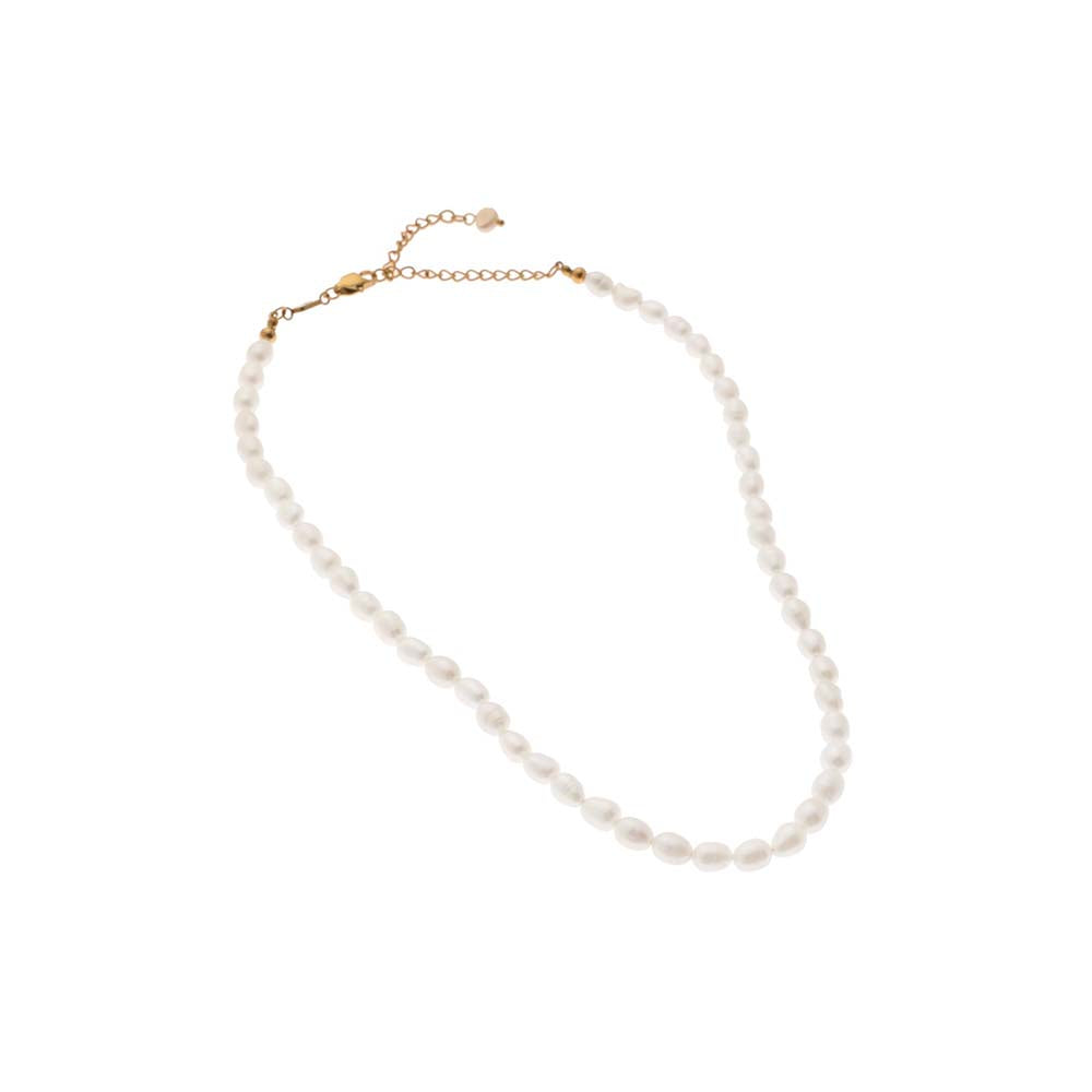 Dusala India White Clavicle Pearl Grace Necklace