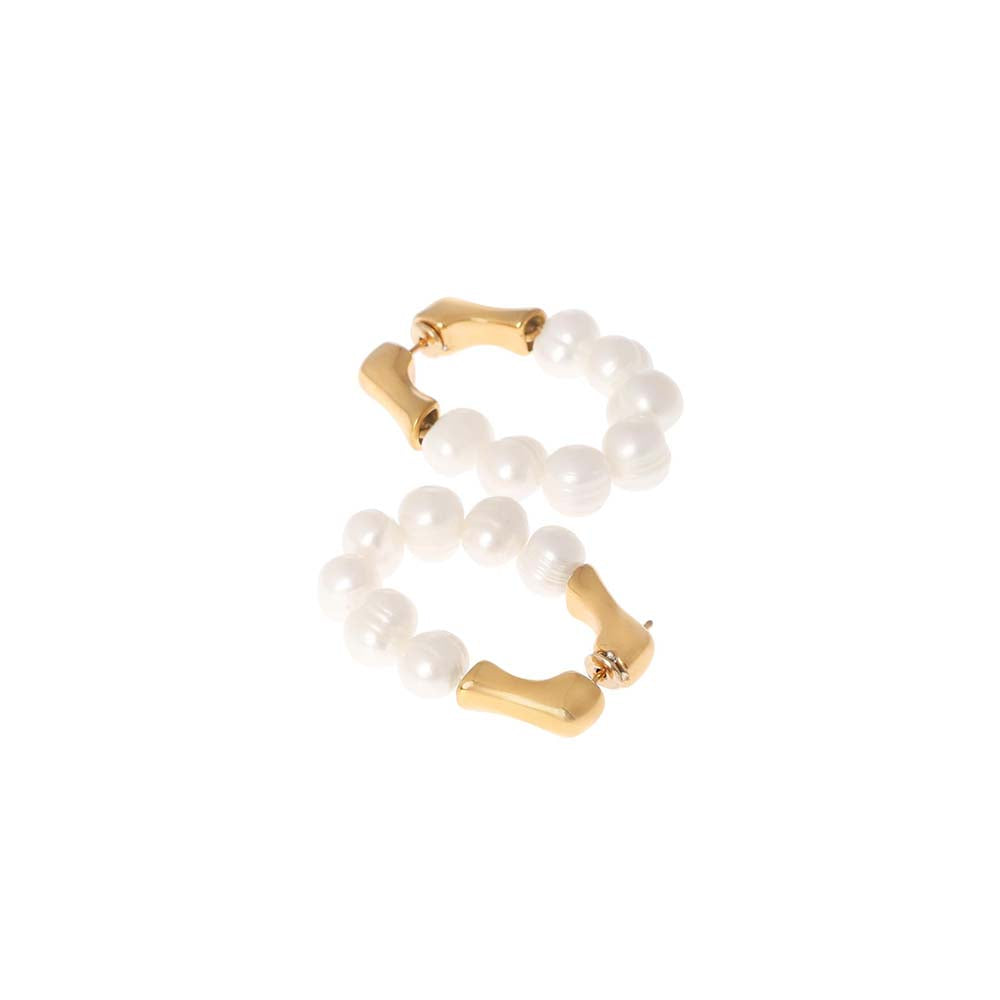 Dusala India White Heart On Heart Earrings
