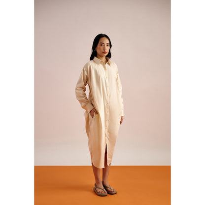 EchoStudio Joe Shirt Dress