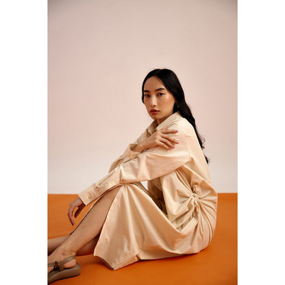 EchoStudio Joe Shirt Dress