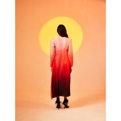 EchoStudio Rose A-Line Dress