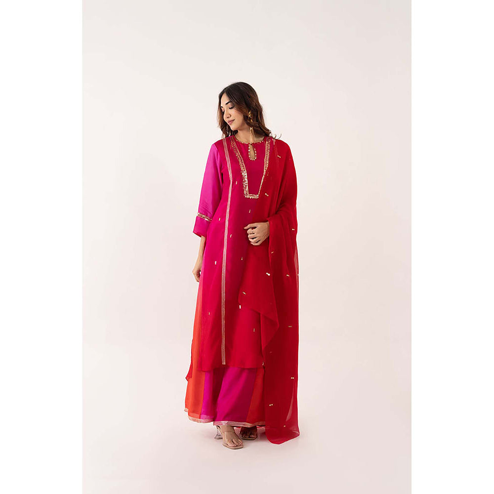 EESHA GUPTA Organza Silk Festive Kurta with Sharara & Dupatta (Set of 3)