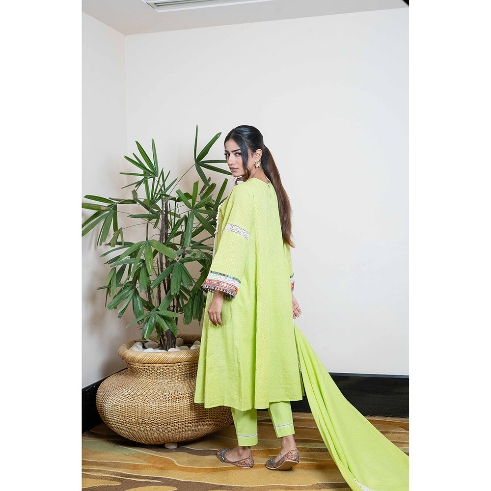 Ekavira Joshna Green Kurta with Pant & Dupatta for Women (Set of 3)