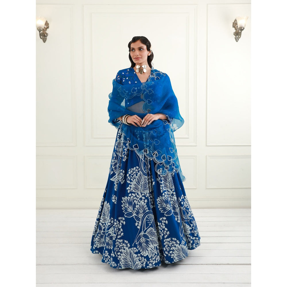 EK Soot Electric Blue Organza Blouse with Skirt and Dupatta (Set of 3)