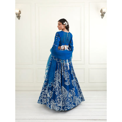 EK Soot Electric Blue Organza Blouse with Skirt and Dupatta (Set of 3)