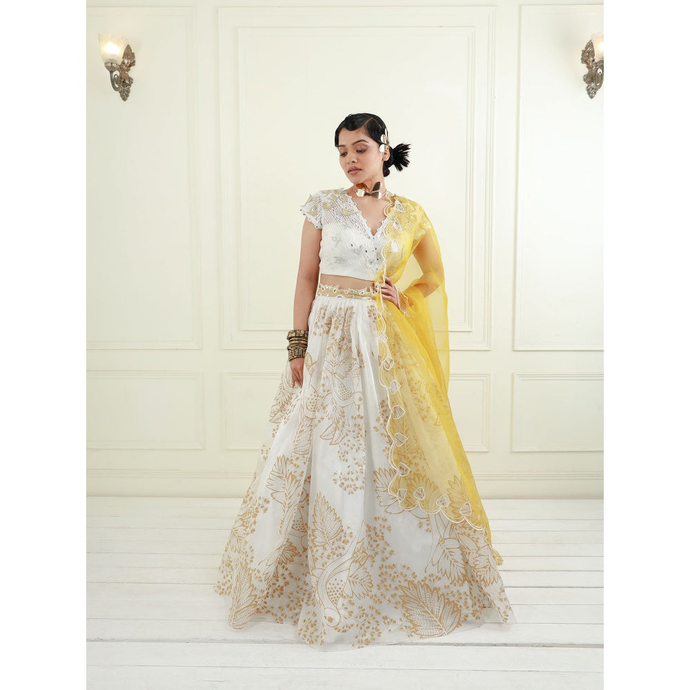 EK Soot White Organza Blouse with Lehenga and Dupatta (Set of 3)