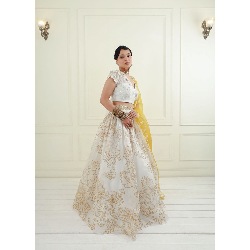 EK Soot White Organza Blouse with Lehenga and Dupatta (Set of 3)