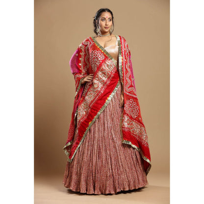 Etasha by Asha Jain Pink Bandani Dupatta with Textured Lehenga and Blouse (Set of 3)
