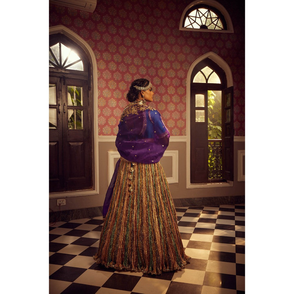 Etasha by Asha Jain Multi Coloured Textured Lehenga with Blouse and Dupatta (Set of 3)