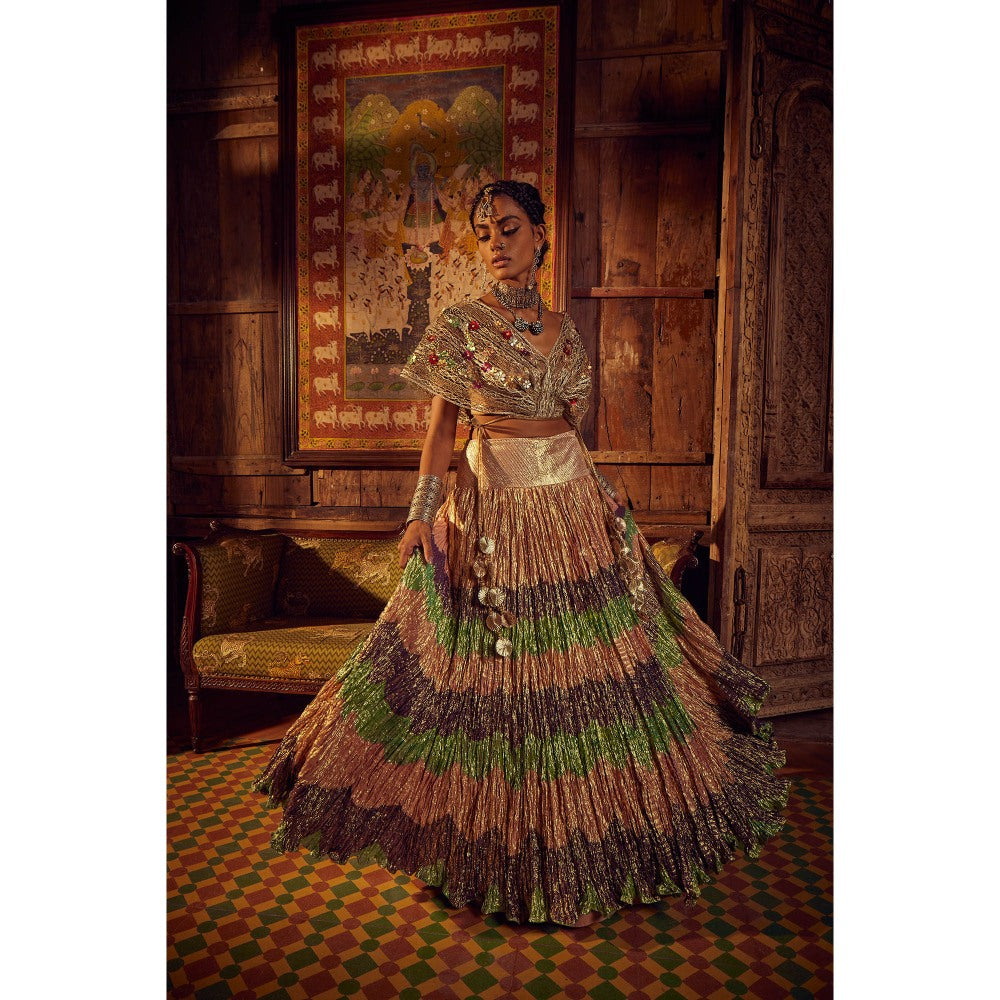 Etasha by Asha Jain Multi Coloured Textured Skirt with Embellished Crop Top (Set of 2)