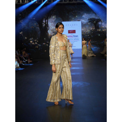 Etasha by Asha Jain Beige Metallic Tissue Bustier with Pant and Blazer (Set of 3)