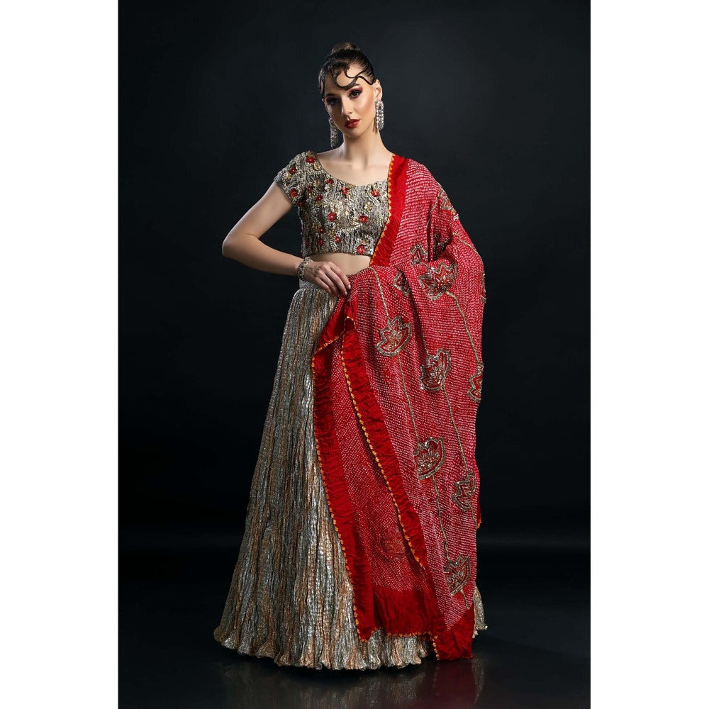 Etasha by Asha Jain Silver Lehenga with Blouse and Dupatta (Set of 3)