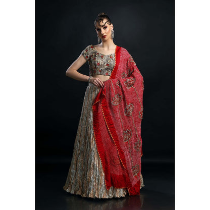 Etasha by Asha Jain Silver Lehenga with Blouse and Dupatta (Set of 3)
