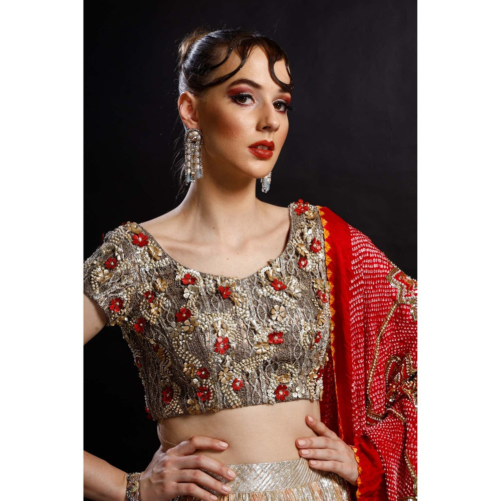 Etasha by Asha Jain Silver Lehenga with Blouse and Dupatta (Set of 3)