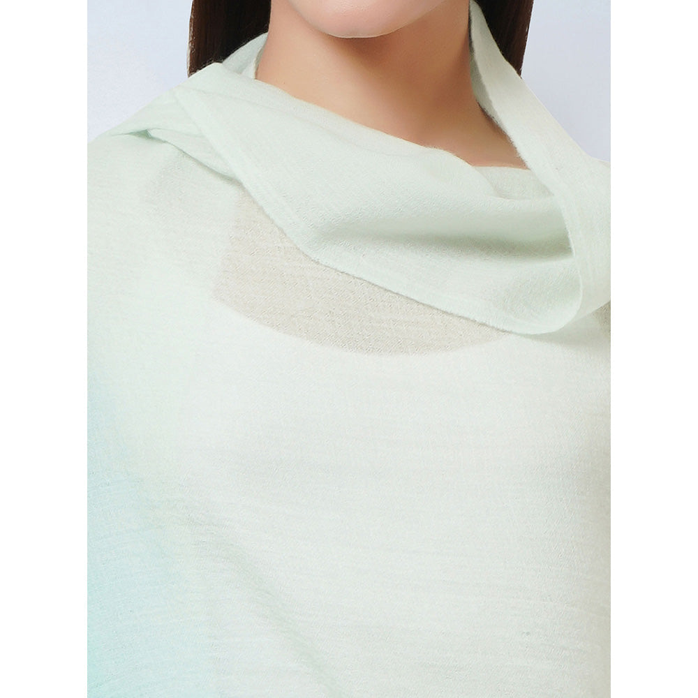 First Resort by Ramola Bachchan Cream and Sea Green Ombre Embellished Cashmere Stole