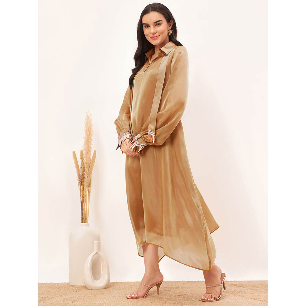 First Resort by Ramola Bachchan Hazel Brown A-Line Dress with Bead Lace & Slip (Set of 2)