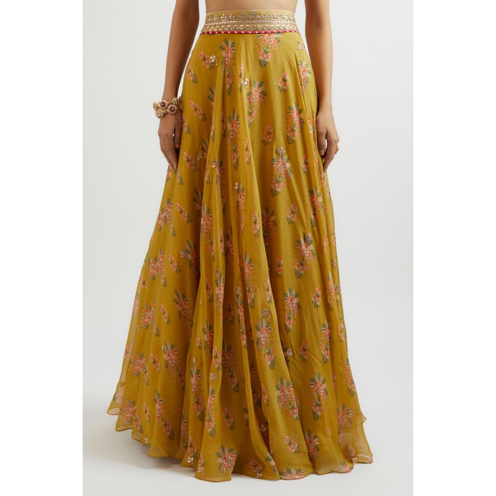 Gopi Vaid Mustard Esha Lehenga with Blouse and Dupatta (Set of 3)