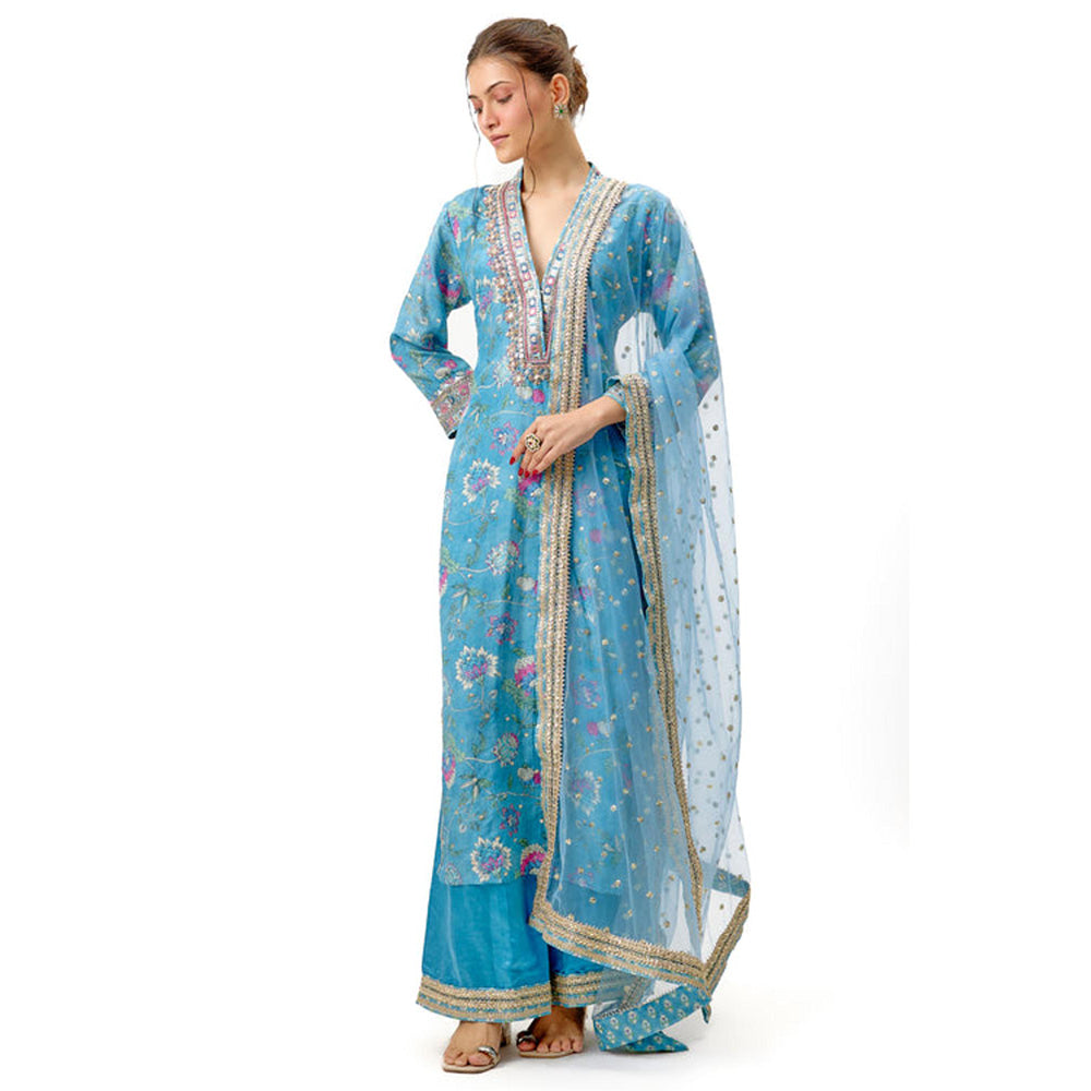 Gopi Vaid Krishna Tunic Set