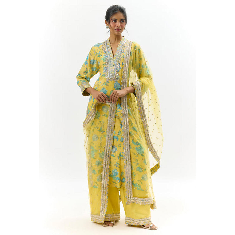 Gopi Vaid Krishna Tunic Set