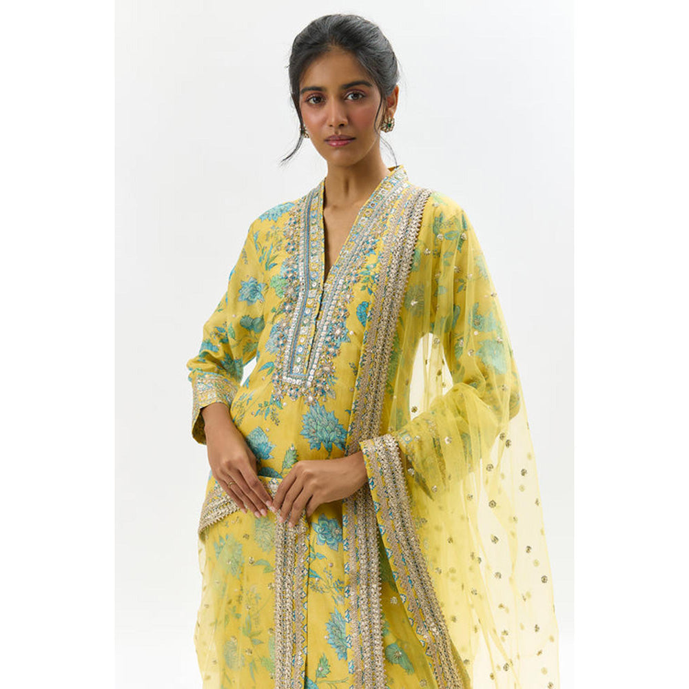 Gopi Vaid Krishna Tunic Set