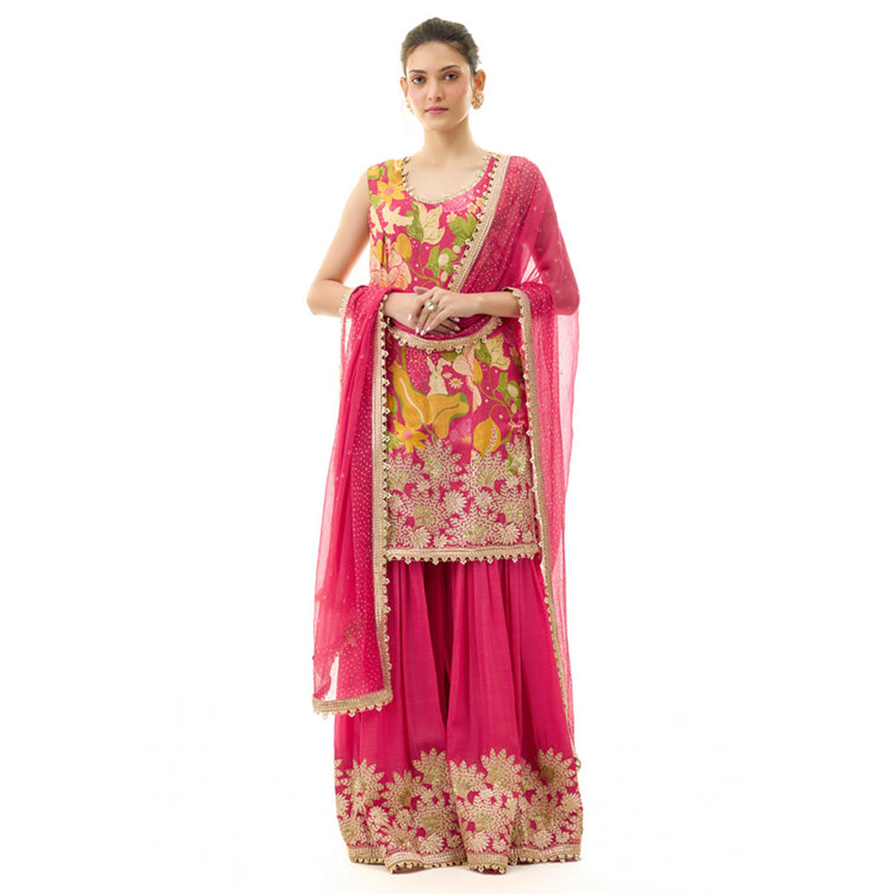 Gopi Vaid Kalki Sleeveless Sharara Set