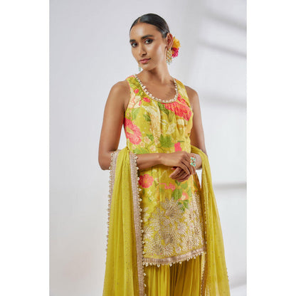 Gopi Vaid Kalki Sleeveless Sharara Set
