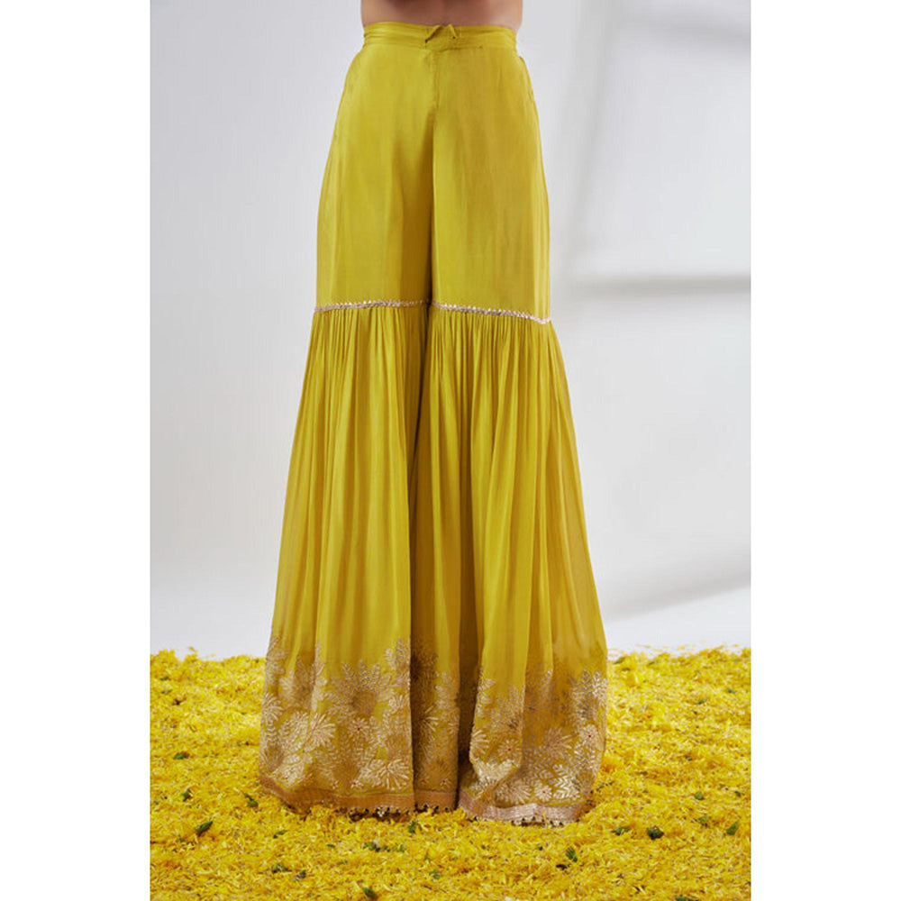 Gopi Vaid Kalki Sleeveless Sharara Set