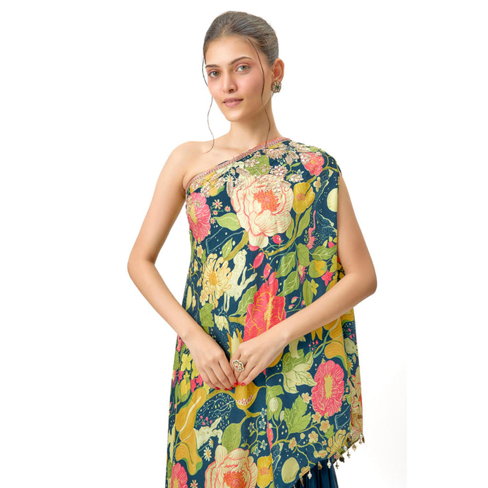Gopi Vaid Nupur One-Shoulder Sharara Set