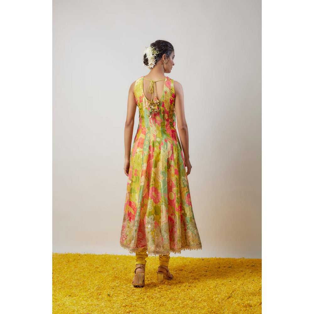 Gopi Vaid Krisha Anarkali Set