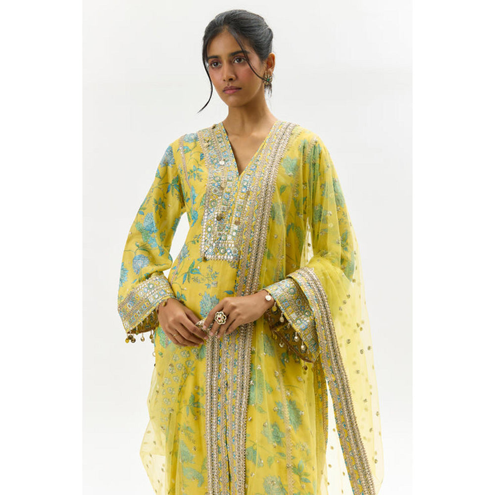 Gopi Vaid Kavya Tunic with palazzo and dupatta