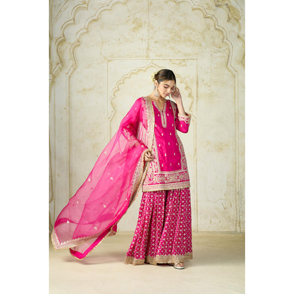 Gopi Vaid Mumtaz Sharara Set