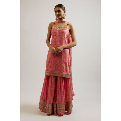 Gopi Vaid Advika Strappy Sharara Set