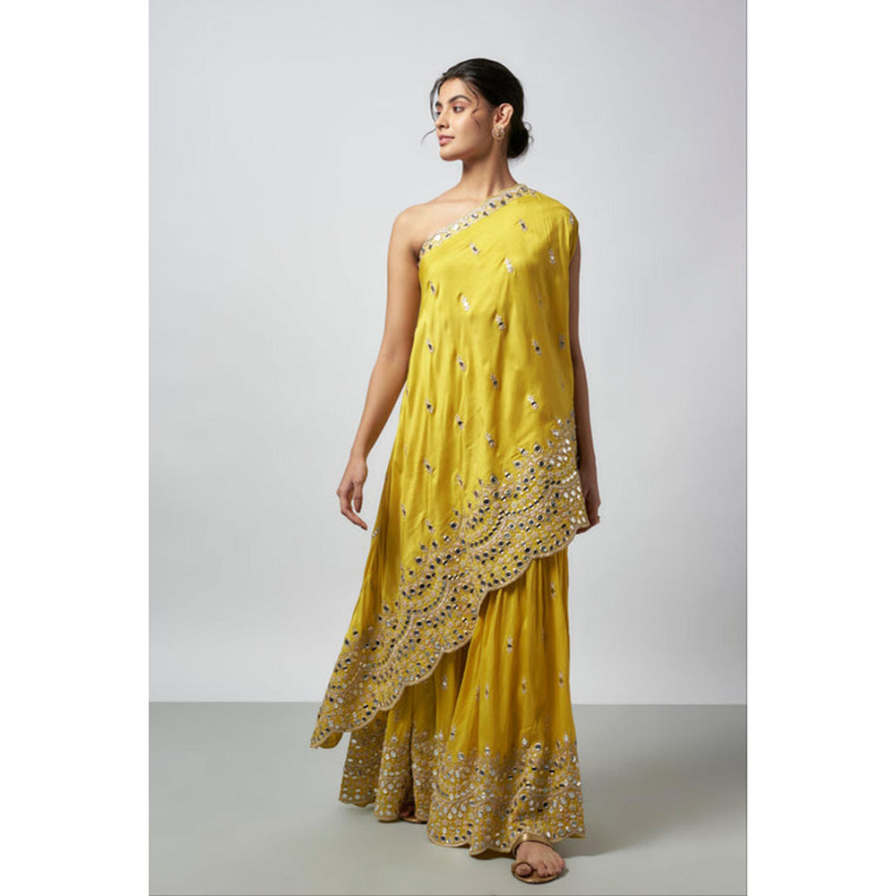 Gopi Vaid Akasa Sharara Set
