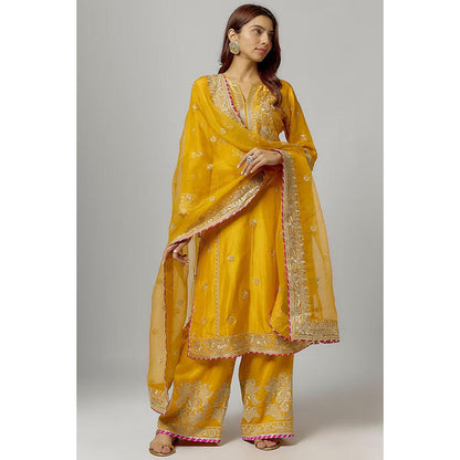 Gopi Vaid Amaya Palazzo Set