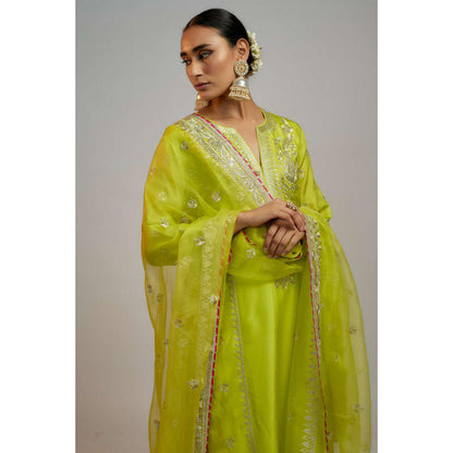 Gopi Vaid Amaya Palazzo set