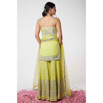 Gopi Vaid Noor Yoke Sharara Set