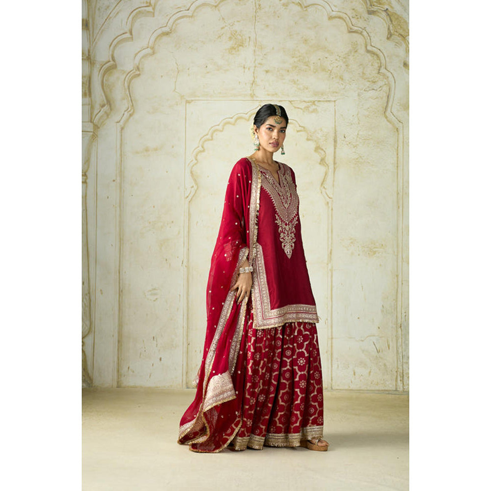 Gopi Vaid Ameena Sharara Set